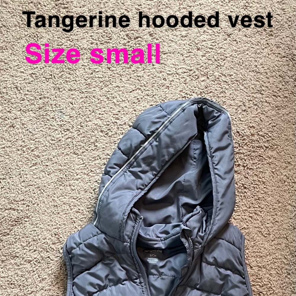 Hooded vest
